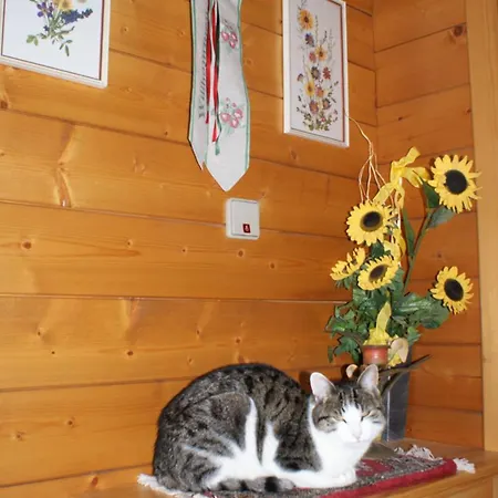 Guest house Oberweissen-hittl *