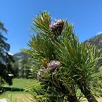 Oberweissen-hittl 3* Sankt Jakob in Defereggen