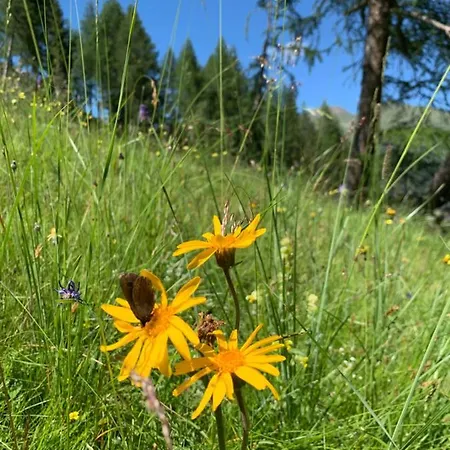 Oberweissen-hittl Sankt Jakob in Defereggen
