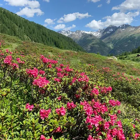Oberweissen-hittl 3* Sankt Jakob in Defereggen