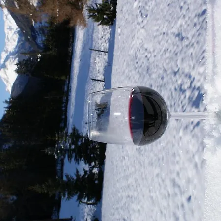 Oberweissen-hittl Konukevi 3*