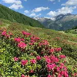 奥博韦森希特尔旅馆 3* 圣雅各布-德法里根