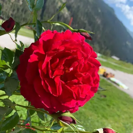 Oberweissen-hittl Guest house Sankt Jakob in Defereggen