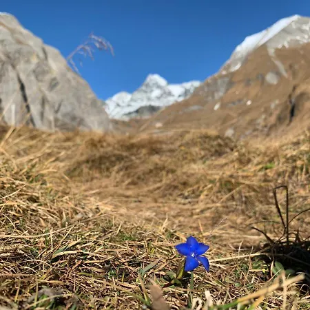 Guest house Oberweissen-hittl 3*