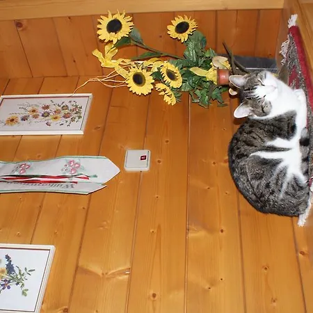 Oberweissen-hittl 3*